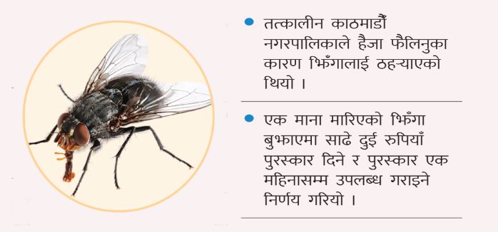 झिँगा मानाको साढे दुई रुपियाँ ! (गोरखापत्रमा प्रकाशित)